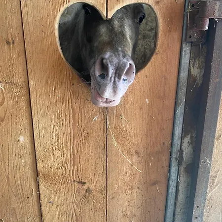 Berg-hof Pfaffenhofen an der Ilm